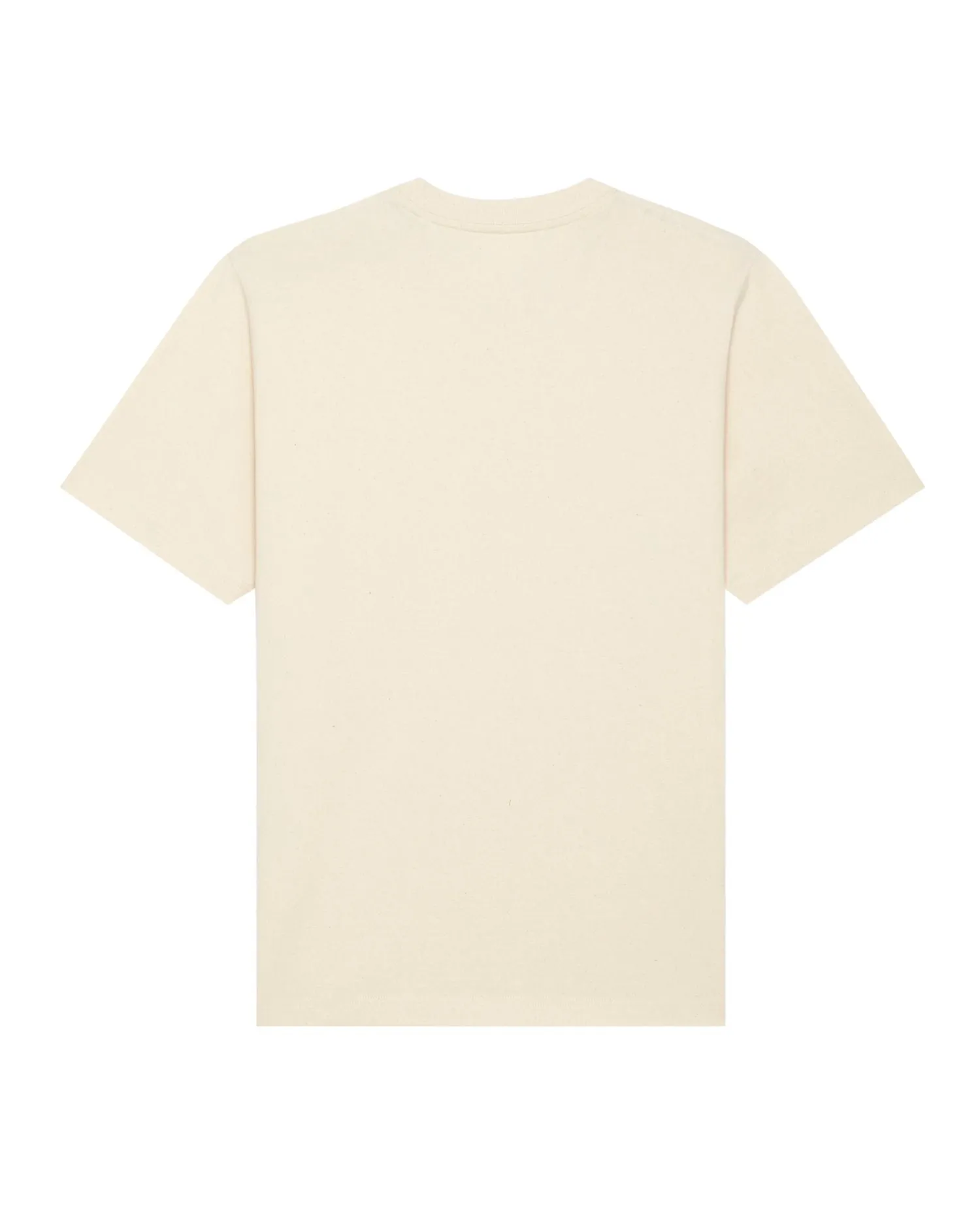 Unisex Heavyweight T-Shirt - 240gr | Freestyler STTU788